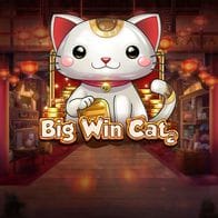 Big Win Cat game icon